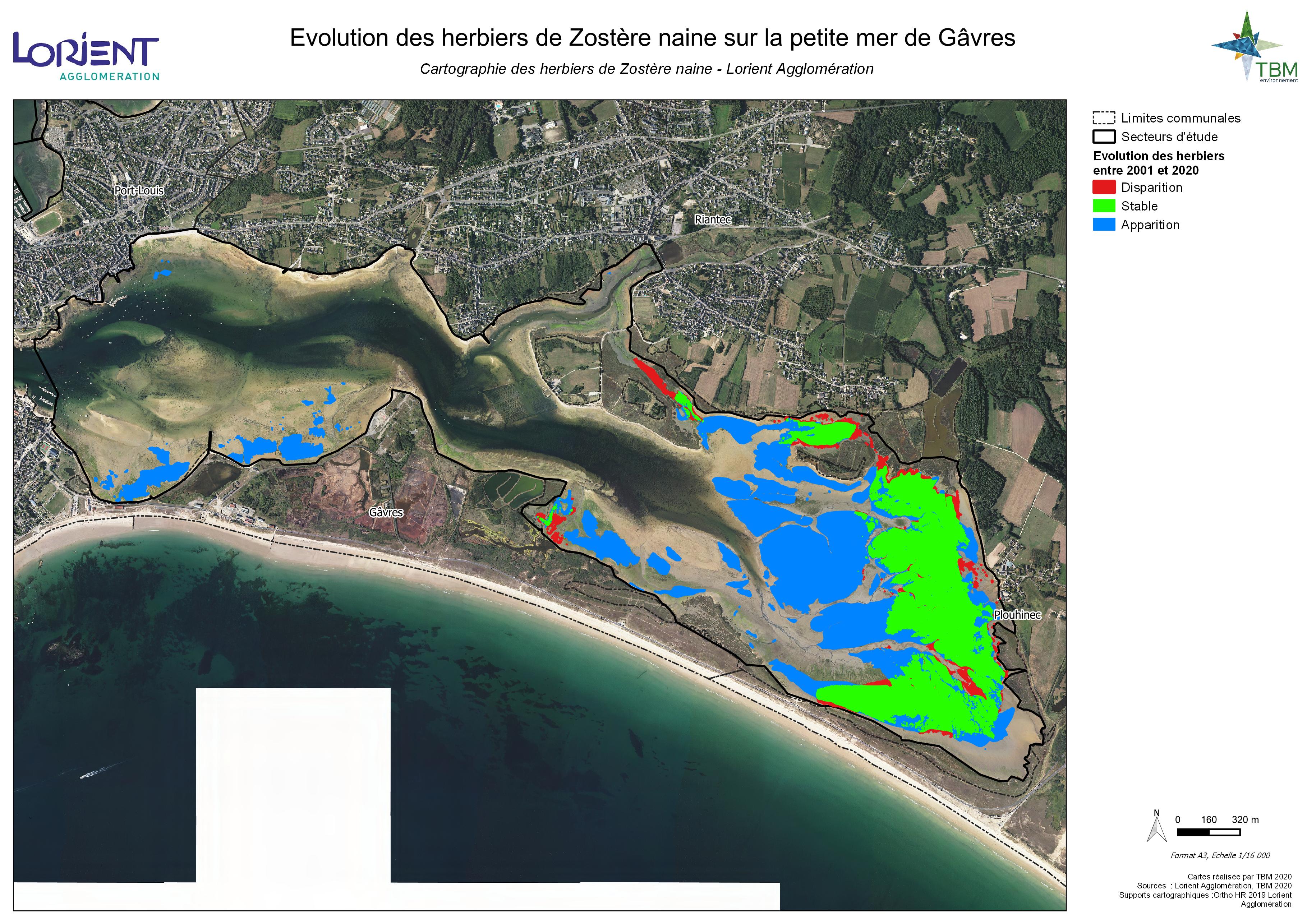 Cartographie des herbiers de zostères naines de la Petite Mer de Gâvres (TBM, 2020)