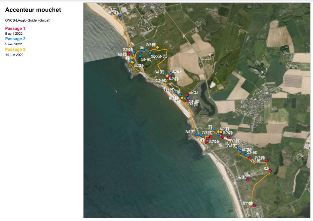 Cartes des résultats bruts par espèce pour le littoral de Guidel (source : Bretagne vivante)