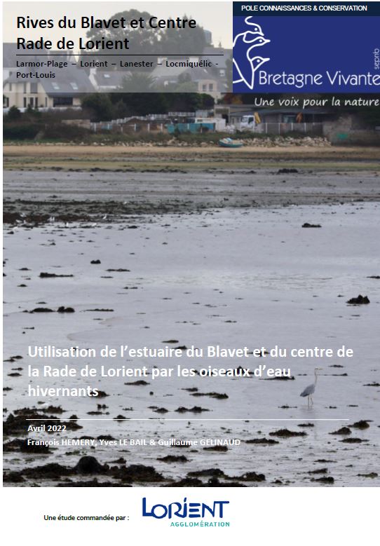 Rapport "Utilisation de l’estuaire du Blavet et du centre de la Rade de Lorient par les oiseaux d’eau hivernants – Saison 2020/2021"