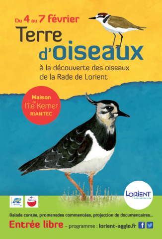 Affiche du festival Terre d'oiseaux du 4 au 7 février 2016 à Riantec