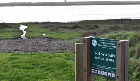 Panneau réglementaire concernant l'arrêté de protection de biotope "Fond de la Petite Mer de Gâvres"  - commune de Plouhinec