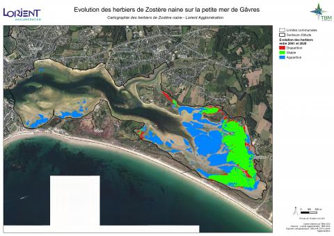 Cartographie des herbiers de zostères naines en Petite Mer de Gâvres - septembre 2020 - évolution de l'habitat