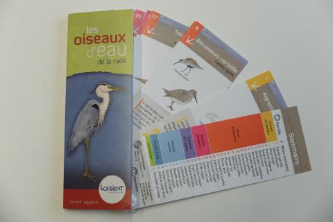 Guide1