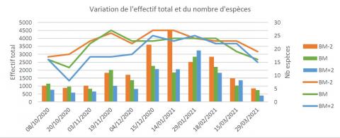 Variations de l’effectif total et du nombre d’espèces d'oiseaux d'eau hivernants en Rade de Lorient - saison 2020/2021
