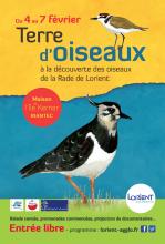 Affiche du festival Terre d'oiseaux du 4 au 7 février 2016