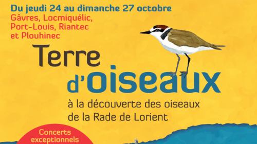 affiche_terre_oiseaux.png