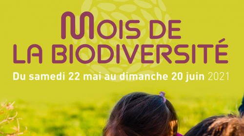visuel_mois_biodiversite_2021.png